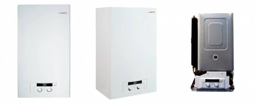 Обзор настенного котла Protherm Рысь