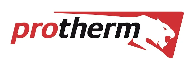 Инструкция напольные газовые котлы Protherm-Медведь